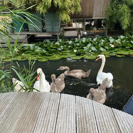 Alojamento de Acomodação e Pequeno-almoço Casa Di Maksch De Miniatura 4*