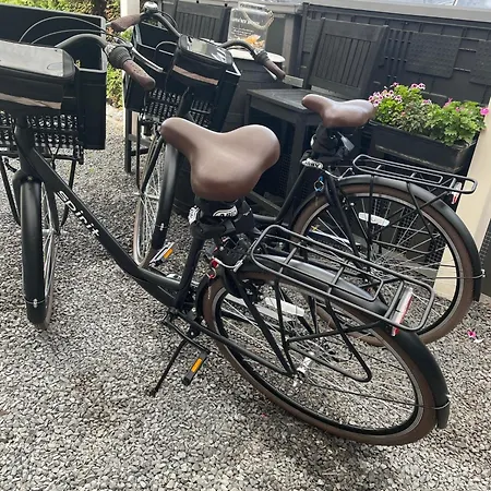 Casa Di Maksch De Miniatura 住宿加早餐酒店 4*