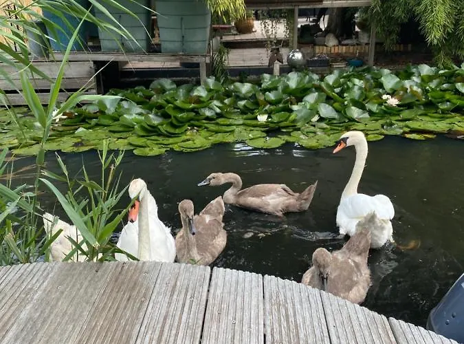 Bed & Breakfast Casa Di Maksch De Miniatura 4*